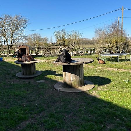La Ferme Du Paradis Merris Zewnętrze zdjęcie